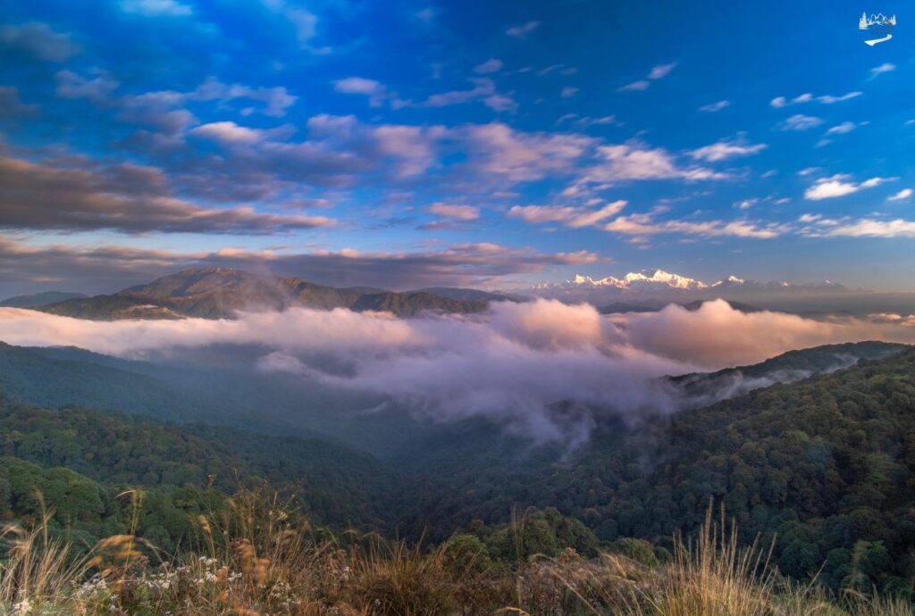 Darjeeling Tour Guide 2026: Explore the Queen of Hills with Casita World dargiling