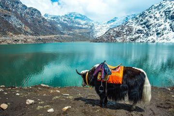 gangtok